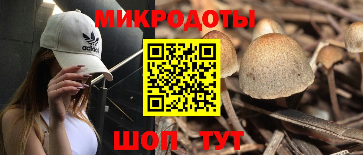 Галлюциногенные грибы мухоморы Арзамас